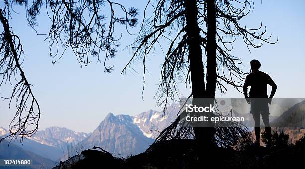 Foto de Parque Nacional De North Cascades e mais fotos de stock de América do Norte - América do Norte, Beleza natural - Natureza, Cordilheira