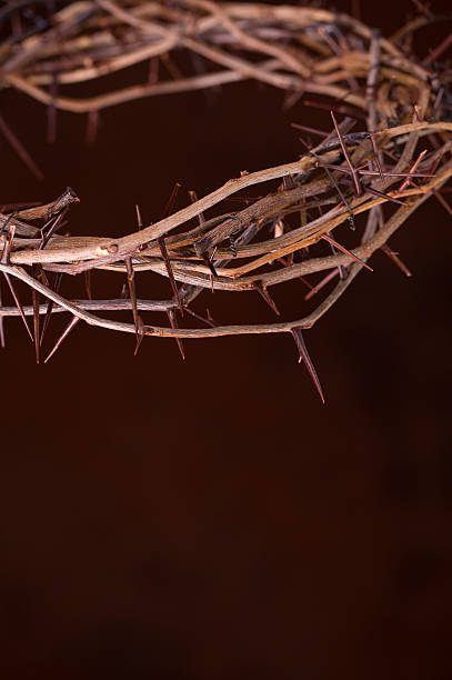 istock Crown of Thorns 182415462