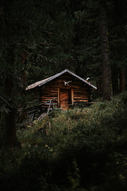 istock Hunting lodge in the woods 1824156071
