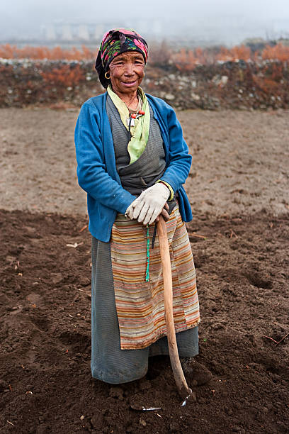 istock Nepali woman working in the field 182415768