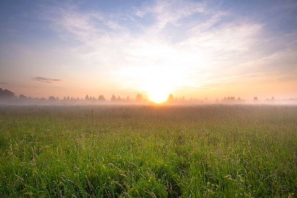 istock Summer foggy day 182415828