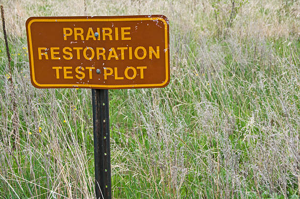 istock Prairie Restoration Test Plot in Minneapolis city park 182415899