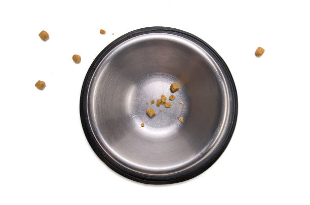 Closeup of mostly empty metal dog bowl and bits of food Closeup of an empty dog food bowl with scattered bits and crumbs in and around the dish. dog bowl photos stock pictures, royalty-free photos & images