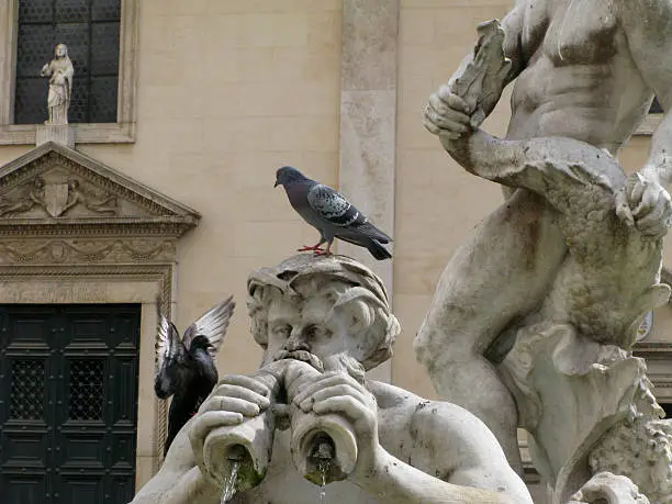 Pegeons on the Fontana del Moro, Piazza Navona. Rome, Italy.