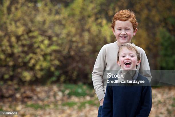 Dos Hermanos Jóvenes Jugando Al Aire Libre En Otoño Las Hojas Foto de stock y más banco de imágenes de 2000-2009