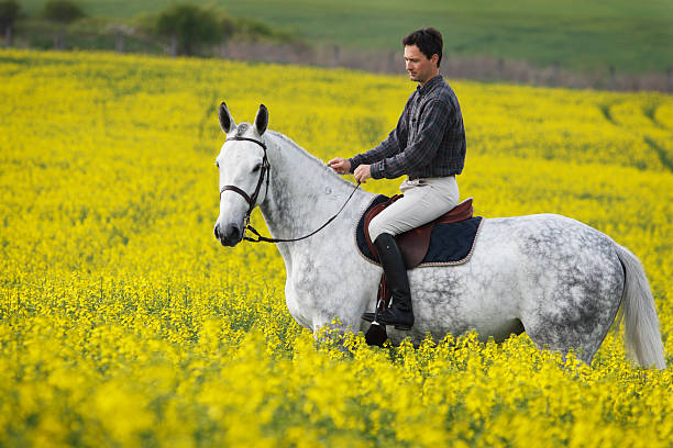 istock Riding in canola field 182416646