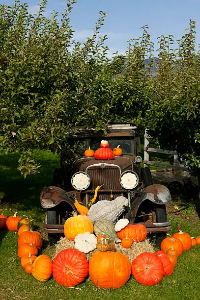 Photo of pumpkin halloween thanksgiving okanagan valley british columbia