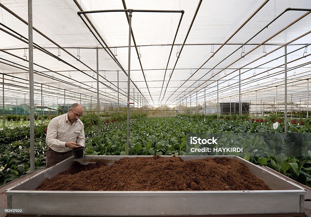 Engenheiro agrícola o solo análise de efeito estufa - Foto de stock de Agricultura royalty-free