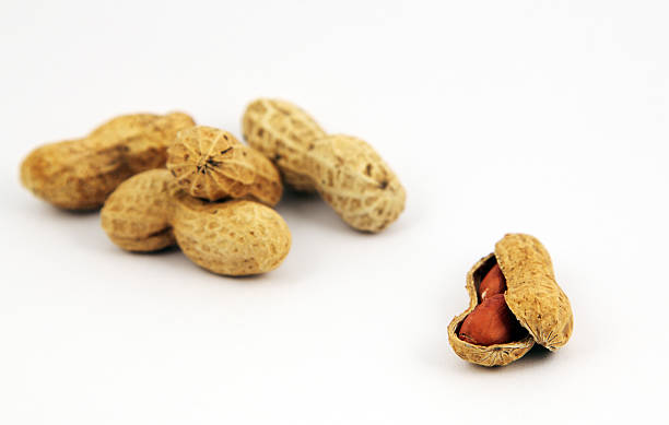 Des cacahuètes - Photo