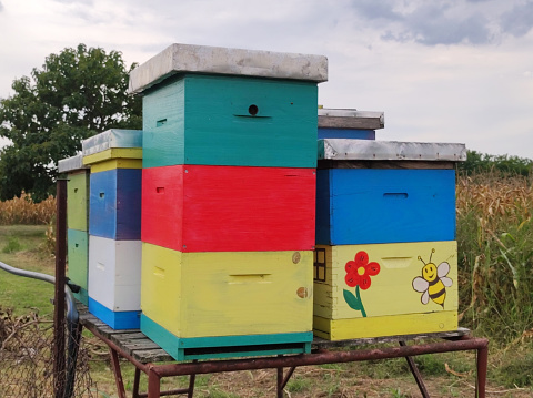 decorated beehives