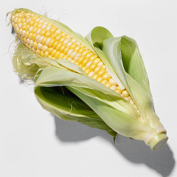 Single Corn on the cob, close-up stock photo