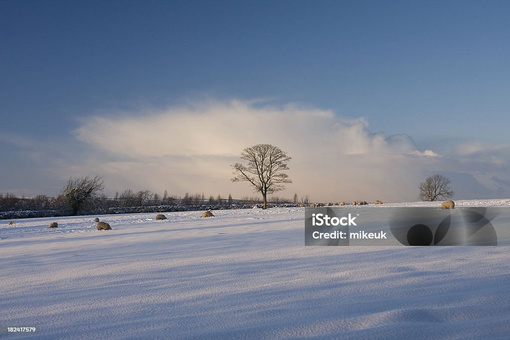 람풍 데일즈 국립 공원 겨울맞이 인공눈 장면 - 로열티 프리 0명 스톡 사진