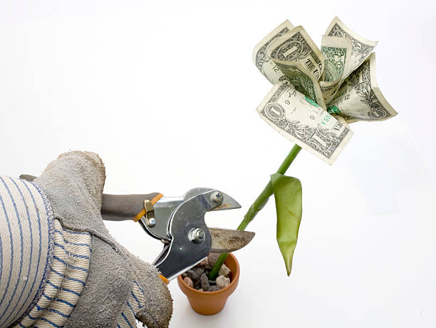 istock cash crop trim 182417759