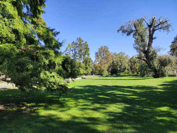 istock Danube park in Novi Sad in bright sunny day 1824179524