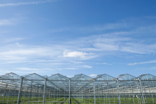 agrarian greenhouse against a blue sky