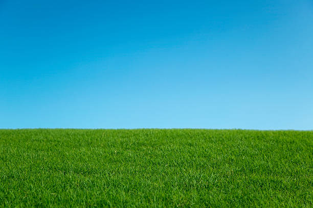 istock Green hill and blue sky beautiful sunny day background 182419606