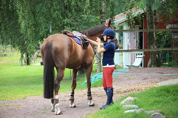 adolescente preparando-se para a cavalo - white purebred horse riding sports traditional sport - fotografias e filmes do acervo