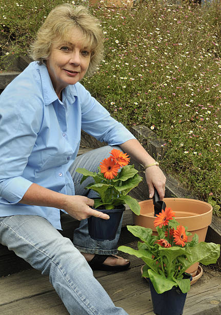 istock Retired woman gardening 182419928