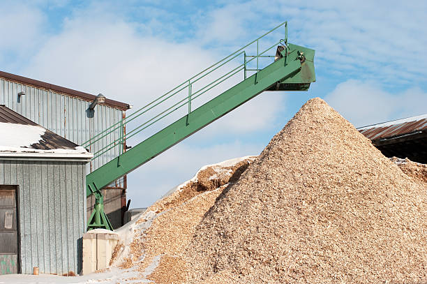 istock Lumber mill structure with a green conveyor and wood chips 182419950