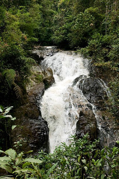 robinson falls cameron highlands pahang malaysia malaya