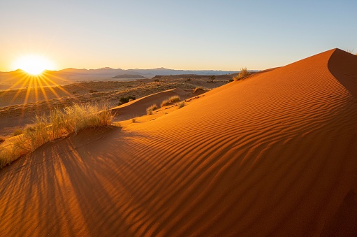 A scenic view of a desert landscape with a sun-soaked horizon in the background