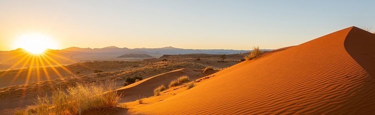 A scenic view of a desert landscape with a sun-soaked horizon in the background