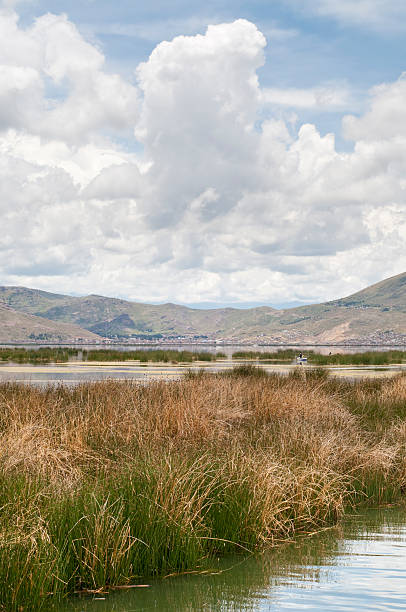 istock Lake Titicaca in Peru 182421215