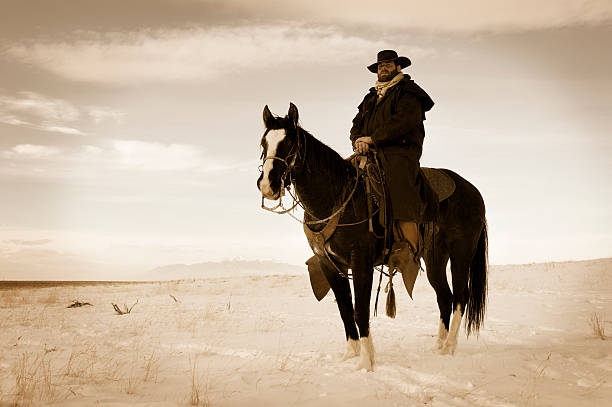 północy kowboj - rein saddle cowboy hat hat zdjęcia i obrazy z banku zdjęć