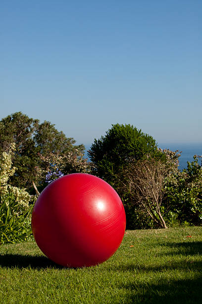 istock Red Swiss Exercise  Ball in Garden 182421455