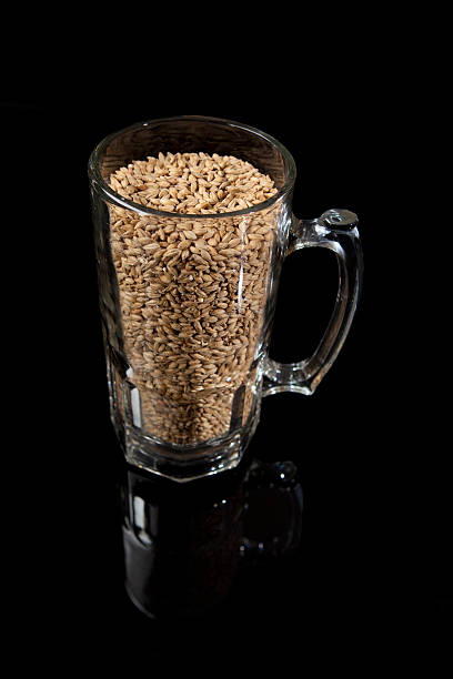 istock Glass of Malted Barley for Beer Making 182421799