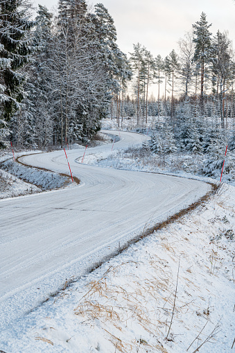 Landscape with new fallen snow. Road crossing through forest with production of Christmas trees