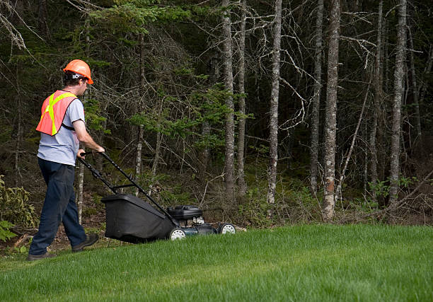 istock Man Mows Grass Wearing Safety Equipment 182422463