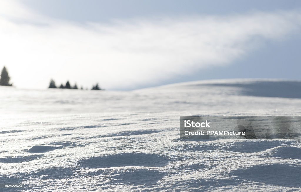 Paesaggio invernale - Foto stock royalty-free di Abete