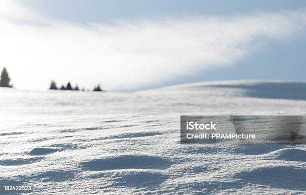 Paesaggio Invernale - Fotografie stock e altre immagini di Abete - Abete, Bianco, Blu