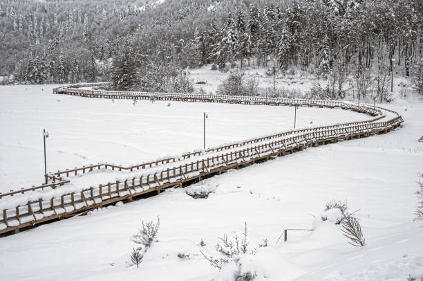 istock Curved wooden walkway in Abant 1824226694