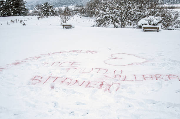 Birthday celebration with lettering on snow