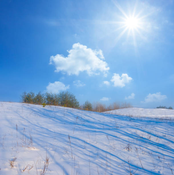 istock fir tree forest glade in a snow, bright winter day scene 1824229341