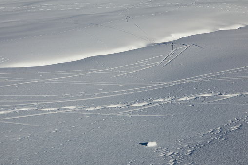 Traces of animals and skis in the snow-covered mountains