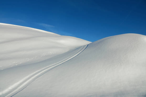 Ski tracks on the fresh snow - fotografia de stock