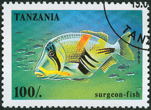 CUBA - CIRCA 1969: stamp printed in Cuba shows fish Apogon maculatus, series \