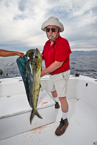 Elderly man in sunglasses and big hat displaying a large MahiMahi, Dorado or Dolphin fish on a small ocean fishing boat.  