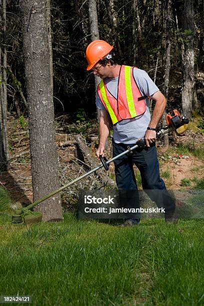 Homem Mows Acabamentos Relva Usar Equipamento De Segurança - Fotografias de stock e mais imagens de Adulto