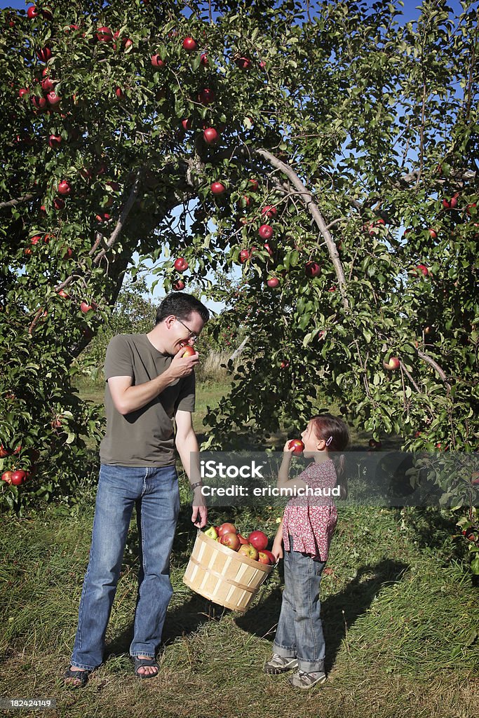 Pai e daugther em orchard - Foto de stock de 4-5 Anos royalty-free