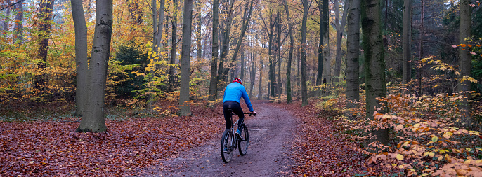 man on mountain bike near utrecht in the netherlands on forest road between colorful leaves in the fall