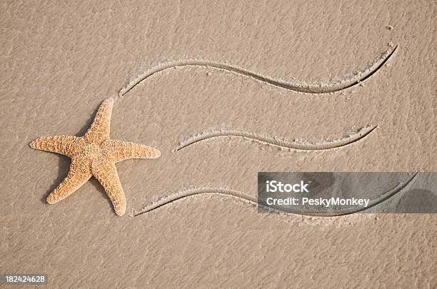 Stella Di Mare Lascia Traccia Stellare In Sabbia - Fotografie stock e altre immagini di A forma di stella - A forma di stella, Ambientazione esterna, Bellezza naturale