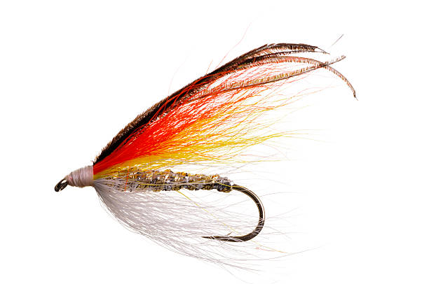 istock Fly Fishing Lure 182425523