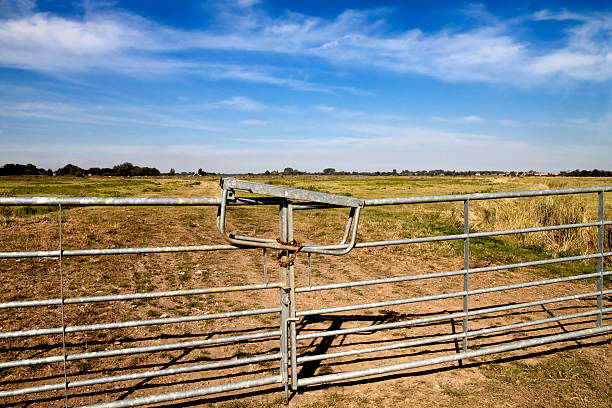 istock Farm gates and Norfolk marshlands 182425627