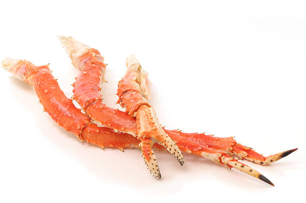 King crab legs and claw "Cooked king crab legs and claws, isolated on white background" crab leg stock pictures, royalty-free photos & images