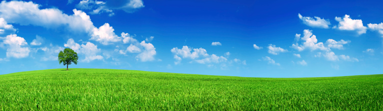 panoramic shot of beauty meadow with blue sky