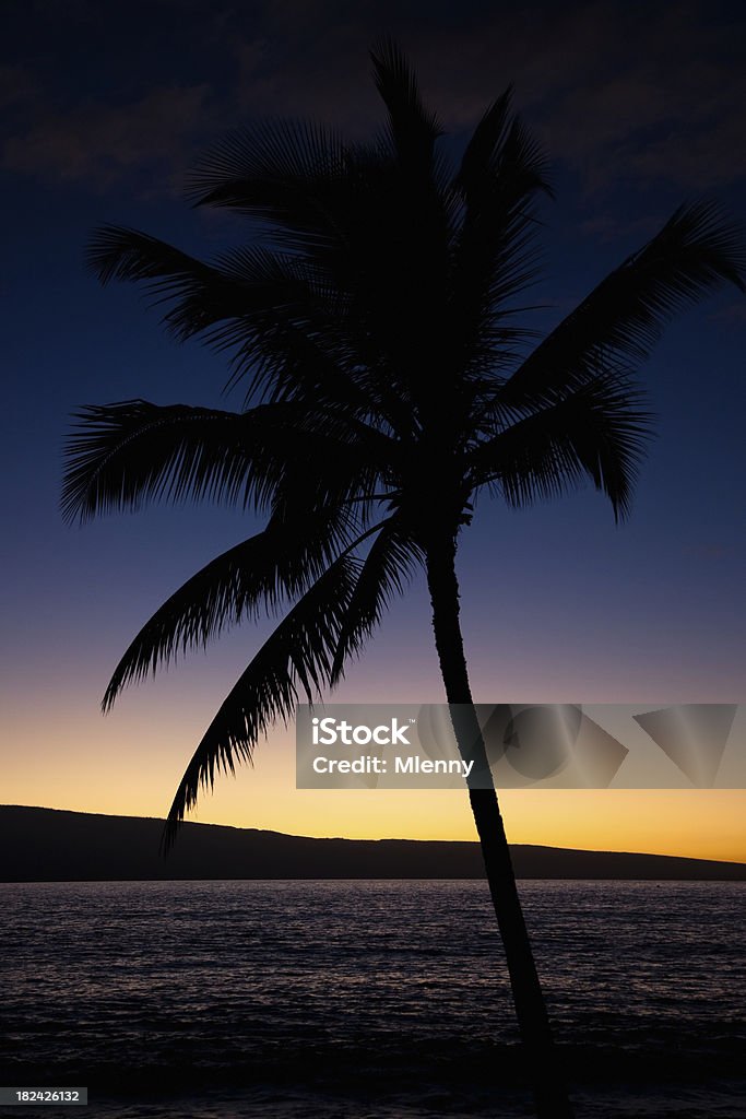 Lanai tramonto Silhouette di palma - Foto stock royalty-free di Albero